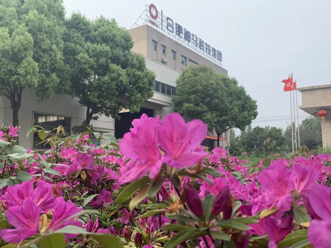 中国·7790必发集团(股份)有限公司-官方网站