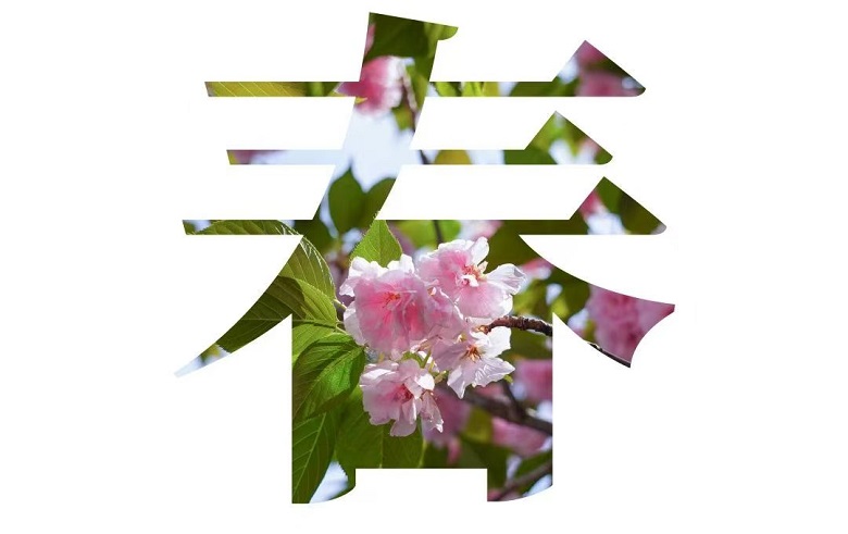中国·7790必发集团(股份)有限公司-官方网站