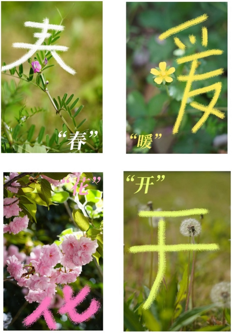 中国·7790必发集团(股份)有限公司-官方网站