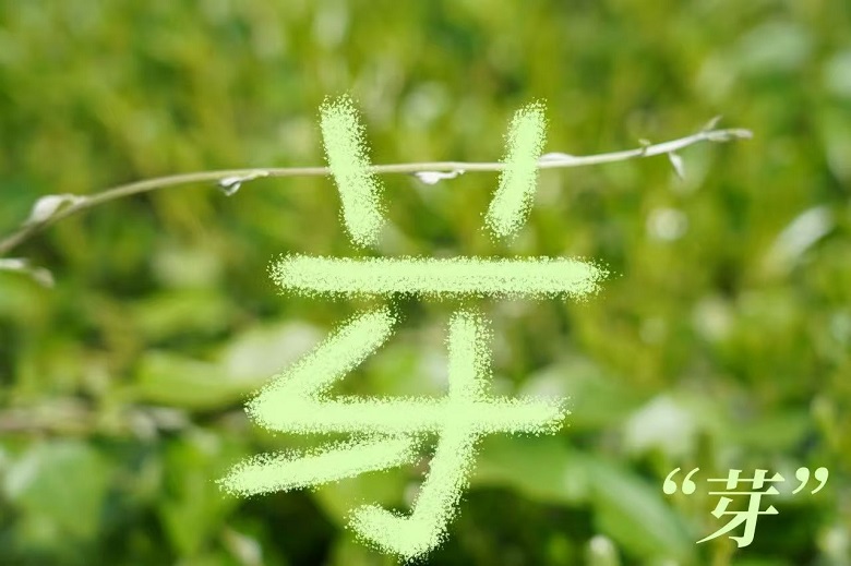 中国·7790必发集团(股份)有限公司-官方网站